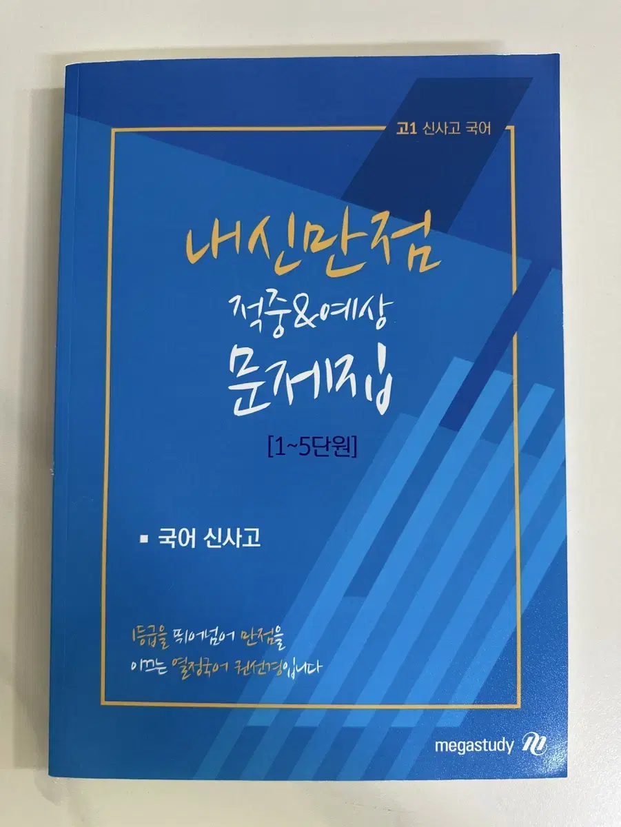 메가스터디 신사고 국어 내신 문제집